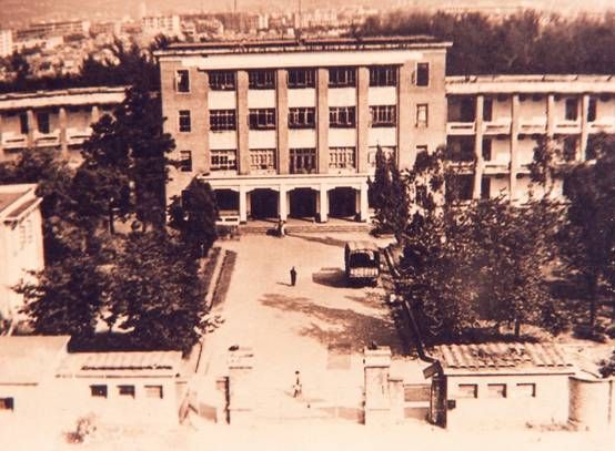 8. 约20世纪六十年代博彩平台推荐